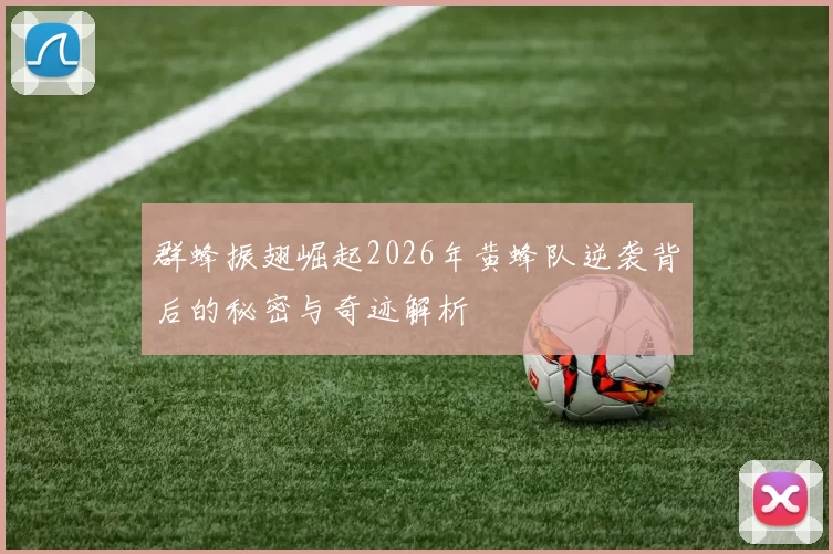 群蜂振翅崛起2026年黄蜂队逆袭背后的秘密与奇迹解析